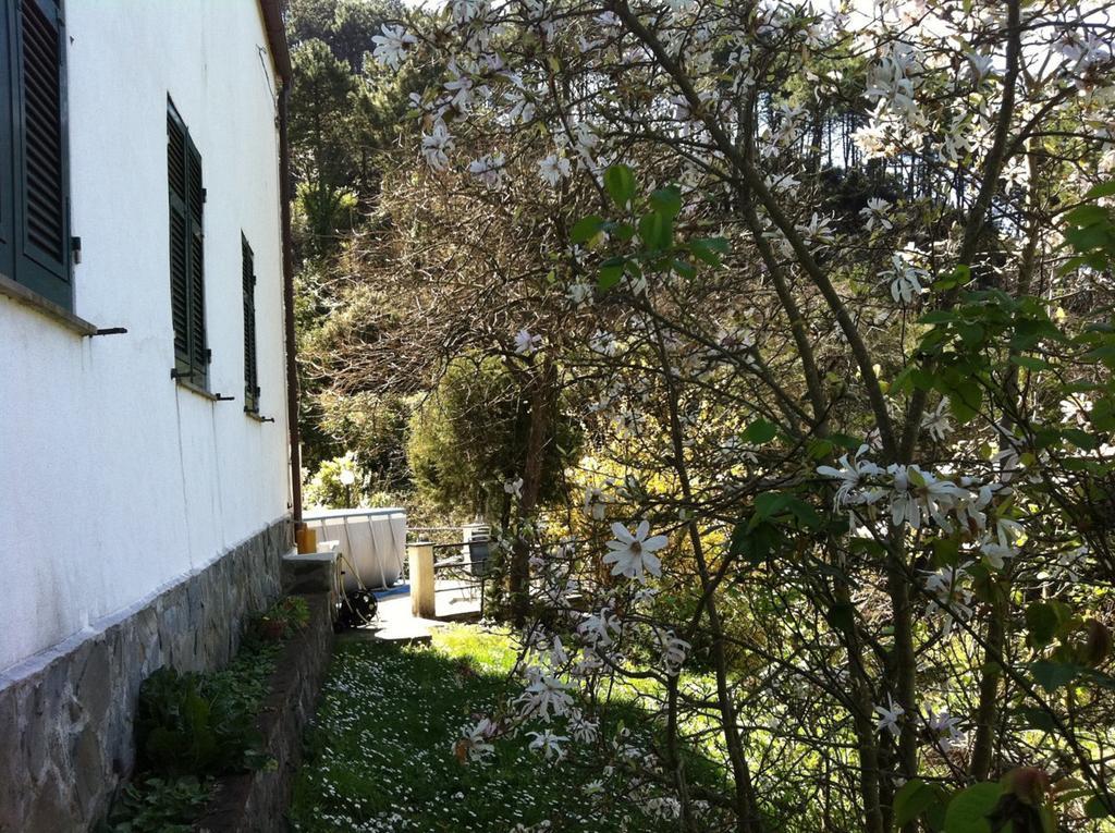 Apartament Dolcevia Levanto Zewnętrze zdjęcie